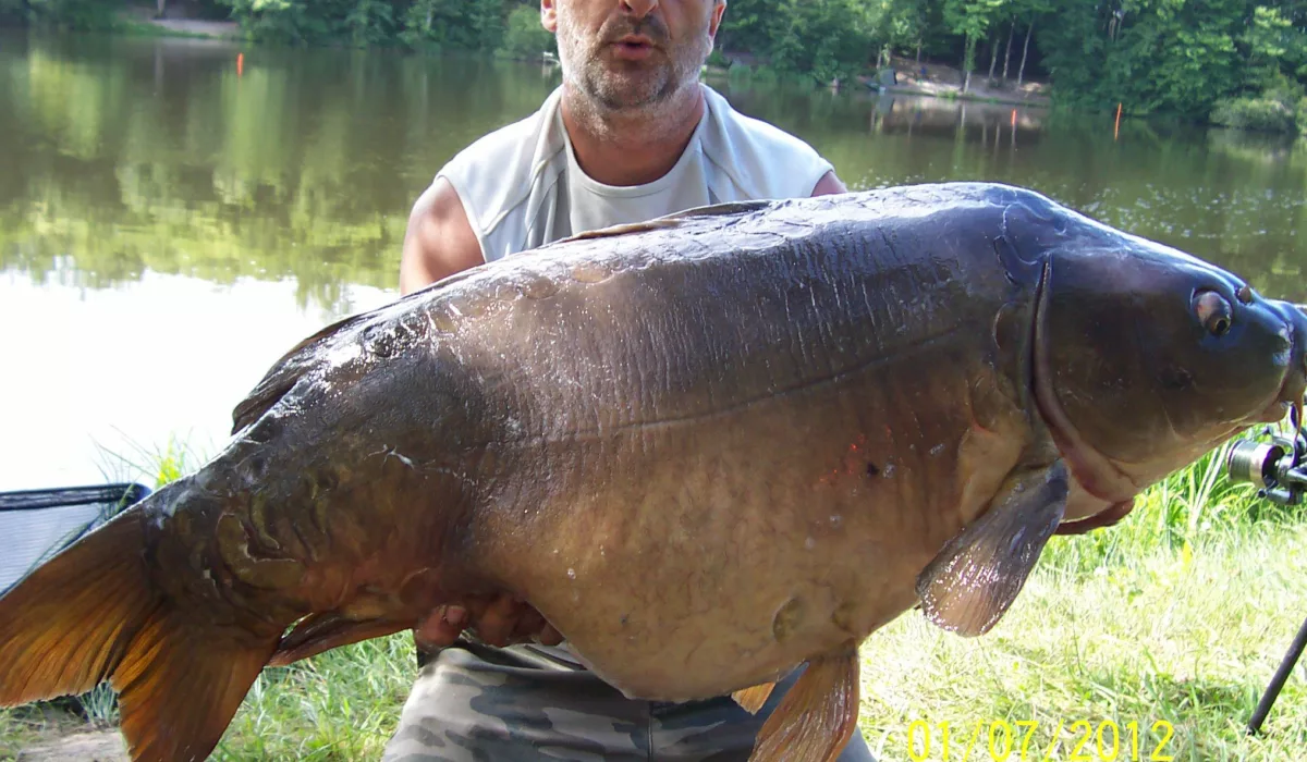 etang-arnaud-photos-2012-15